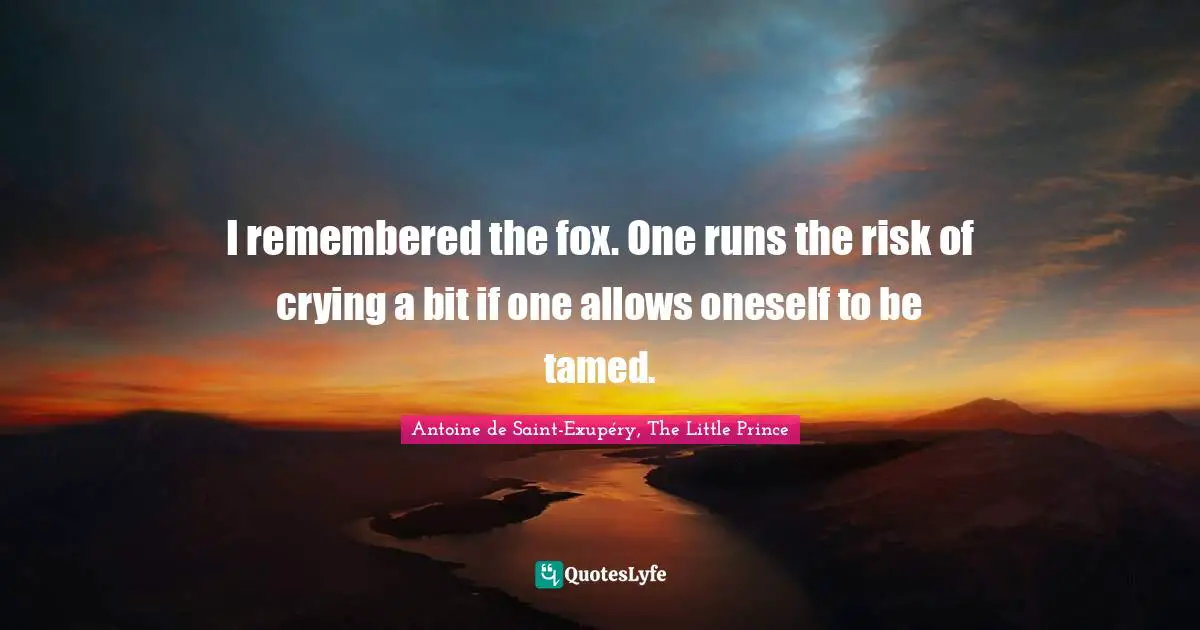 I remembered the fox. One runs the risk of crying a bit if one allows oneself to be tamed.