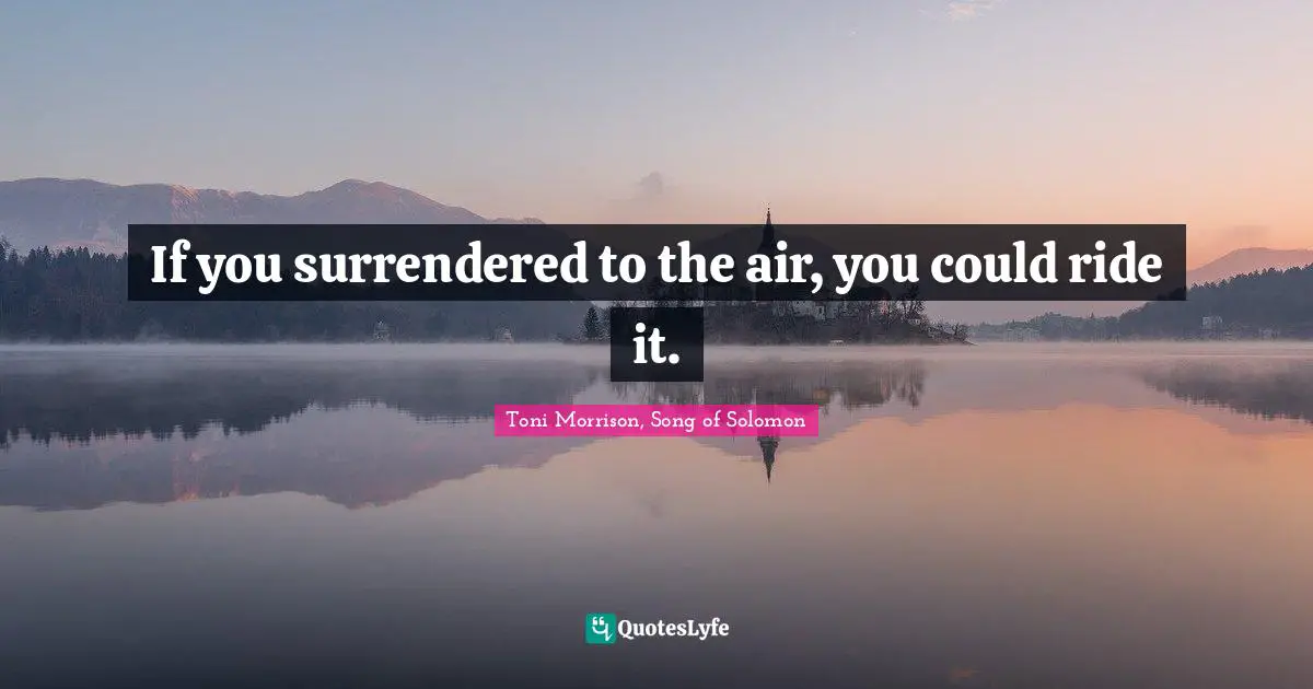 If you surrendered to the air, you could ride it.