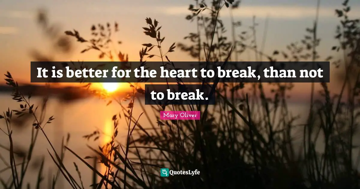 It is better for the heart to break, than not to break.