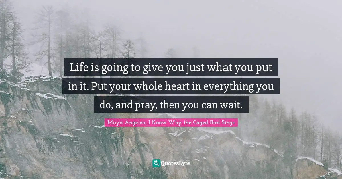 Maya Angelou, I Know Why The Caged Bird Sings Quotes: "Life is going to give you just what you put in it. Put your whole heart in everything you do, and pray, then you can wait."