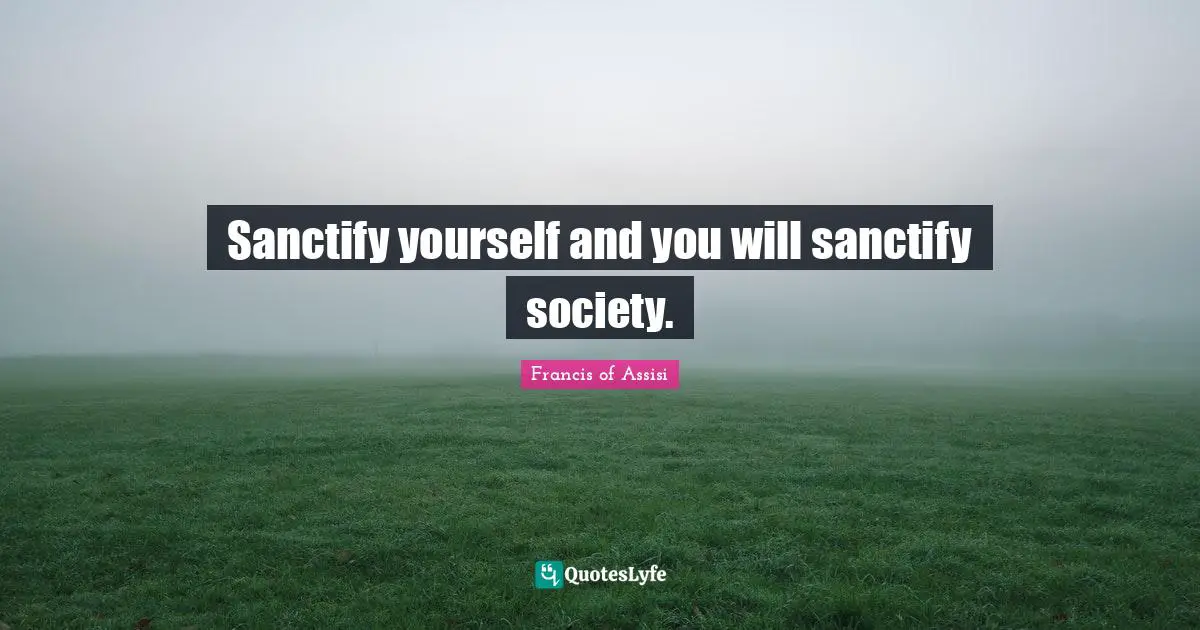 Francis of Assisi Quotes: Sanctify yourself and you will sanctify society.