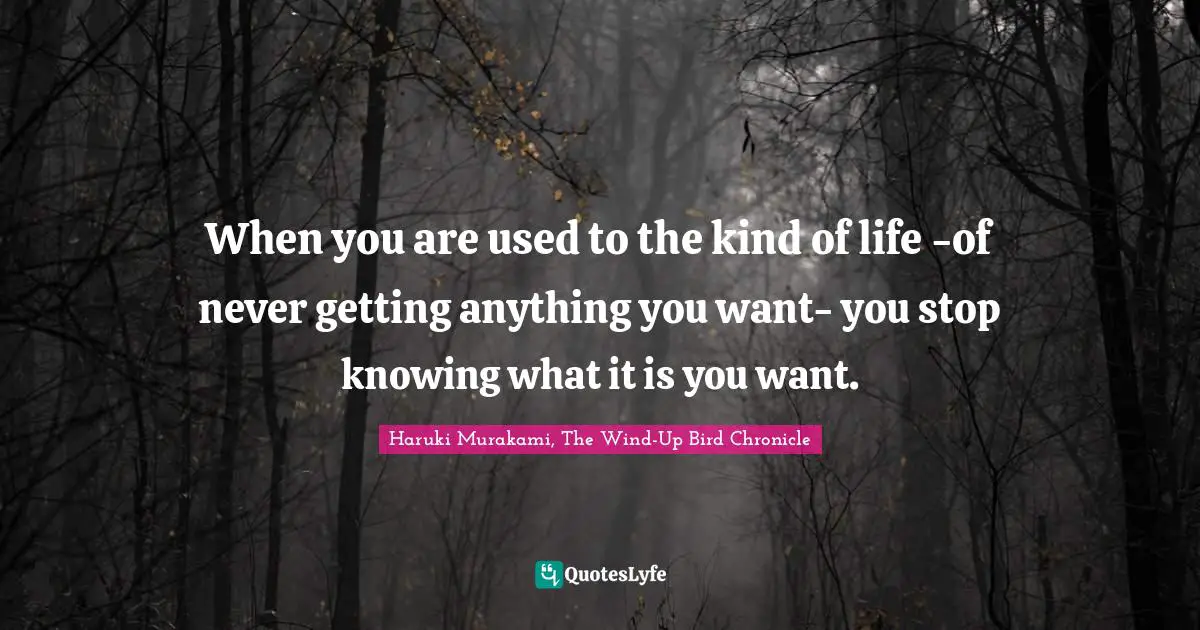 Haruki Murakami, The Wind-Up Bird Chronicle Quotes: "When you are used to the kind of life -of never getting anything you want- you stop knowing what it is you want."