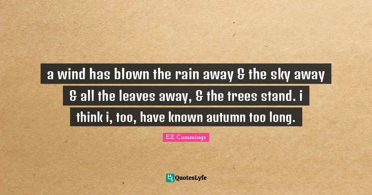 a wind has blown the rain away & the sky away & all the leaves away, & the trees stand. i think i, too, have known autumn too long.