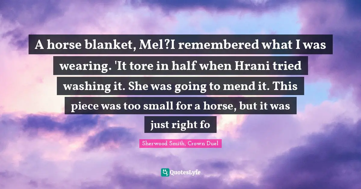 A horse blanket, Mel?I remembered what I was wearing. 'It tore in half when Hrani tried washing it. She was going to mend it. This piece was too small for a horse, but it was just right fo