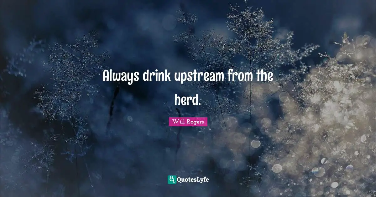 Always drink upstream from the herd.