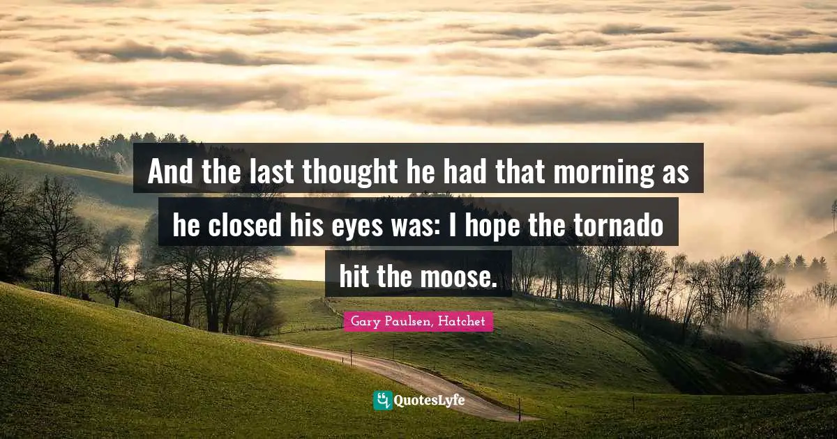 And the last thought he had that morning as he closed his eyes was: I hope the tornado hit the moose.