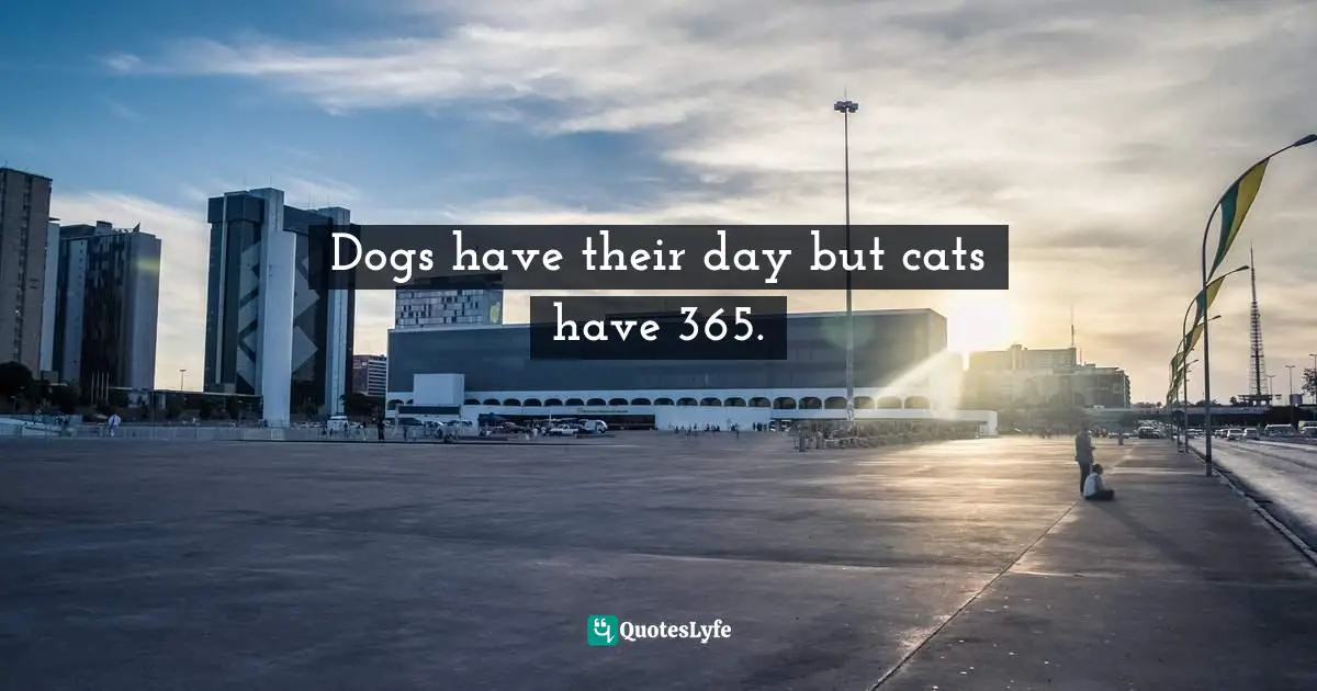 Dogs have their day but cats have 365.