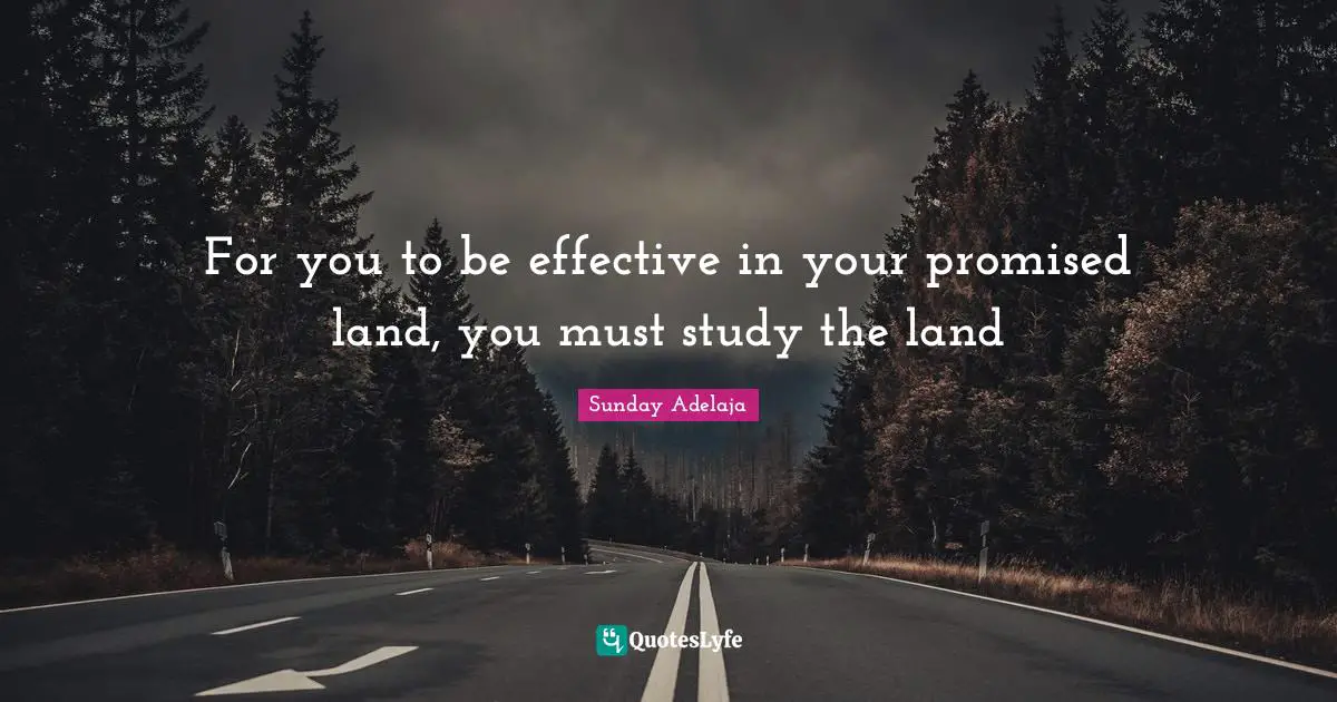 For you to be effective in your promised land, you must study the land