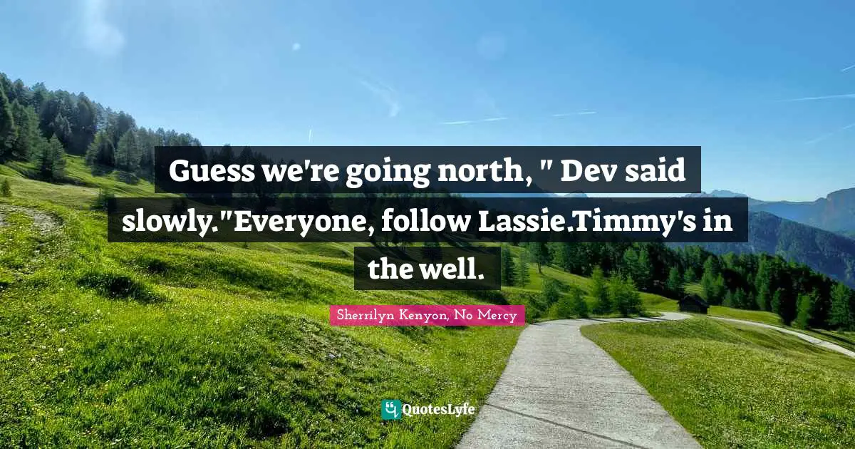 Guess we're going north, " Dev said slowly."Everyone, follow Lassie.Timmy's in the well.