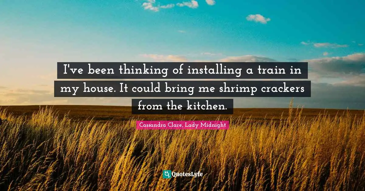 I've been thinking of installing a train in my house. It could bring me shrimp crackers from the kitchen.