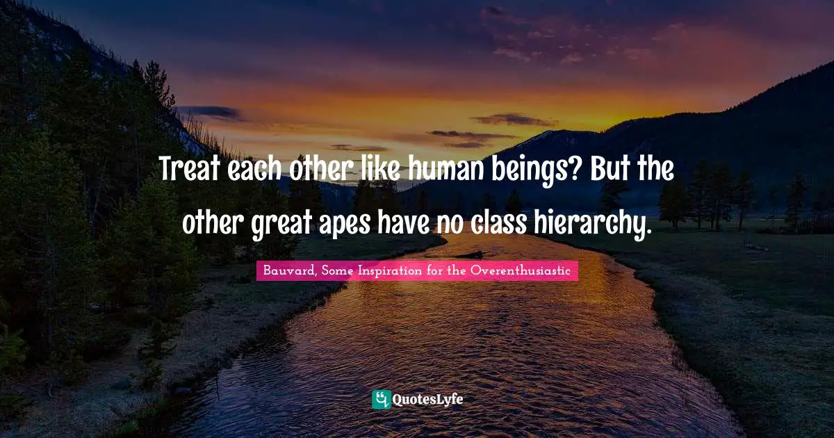 Treat each other like human beings? But the other great apes have no class hierarchy.