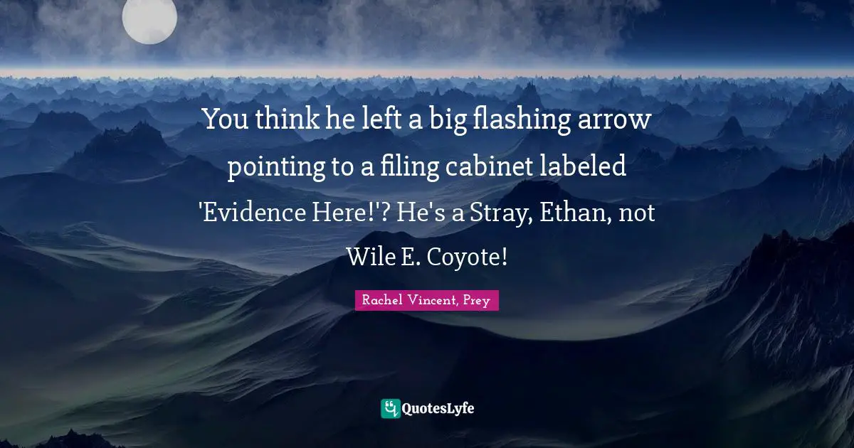 You think he left a big flashing arrow pointing to a filing cabinet labeled 'Evidence Here!'? He's a Stray, Ethan, not Wile E. Coyote!