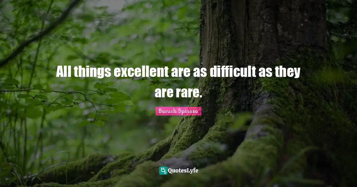 All things excellent are as difficult as they are rare.