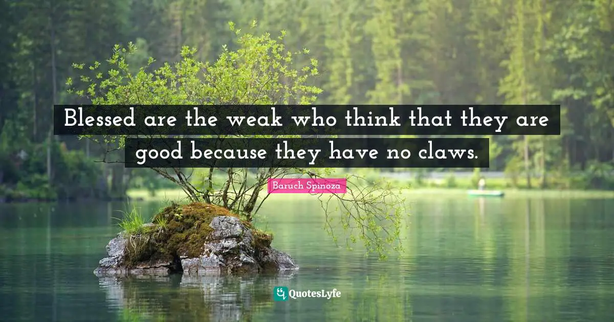 Blessed are the weak who think that they are good because they have no claws.