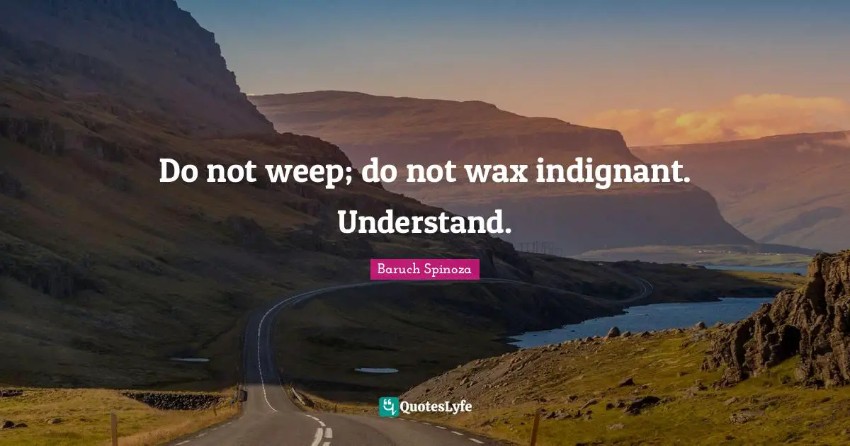 Baruch Spinoza Quotes: "Do not weep; do not wax indignant. Understand."