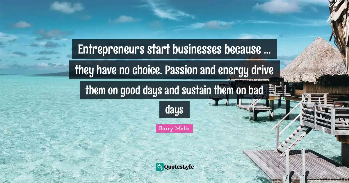Entrepreneurs start businesses because ... they have no choice. Passion and energy drive them on good days and sustain them on bad days