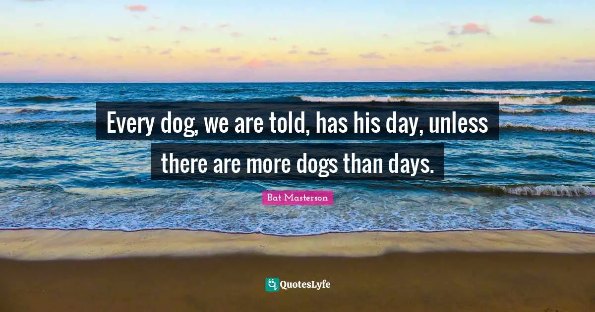 Every dog, we are told, has his day, unless there are more dogs than days.