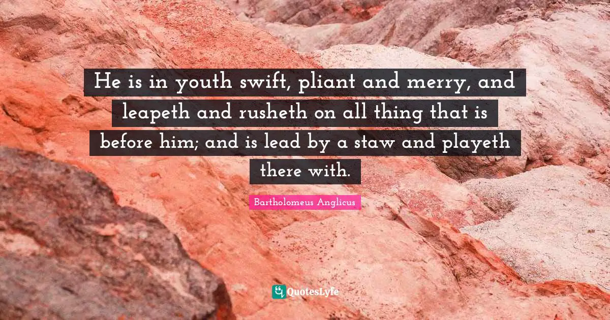 He is in youth swift, pliant and merry, and leapeth and rusheth on all thing that is before him; and is lead by a staw and playeth there with.