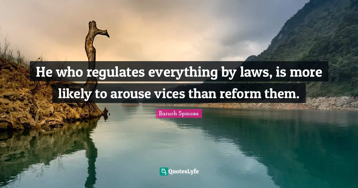 He who regulates everything by laws, is more likely to arouse vices than reform them.