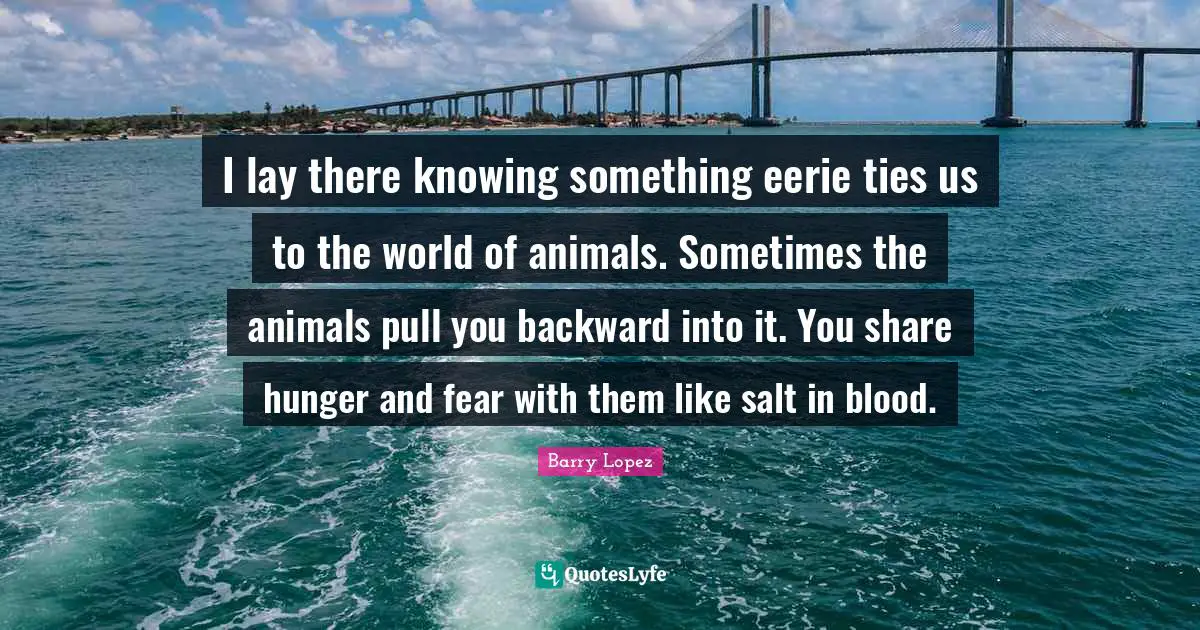I lay there knowing something eerie ties us to the world of animals. Sometimes the animals pull you backward into it. You share hunger and fear with them like salt in blood.