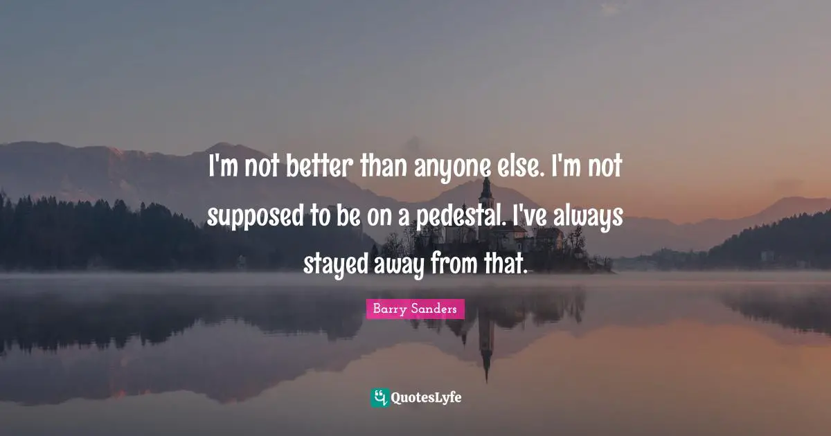 I'm not better than anyone else. I'm not supposed to be on a pedestal. I've always stayed away from that.