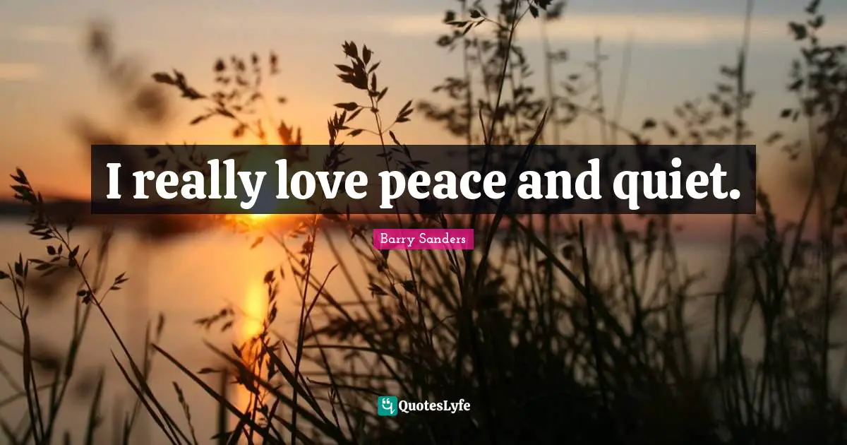 I really love peace and quiet.