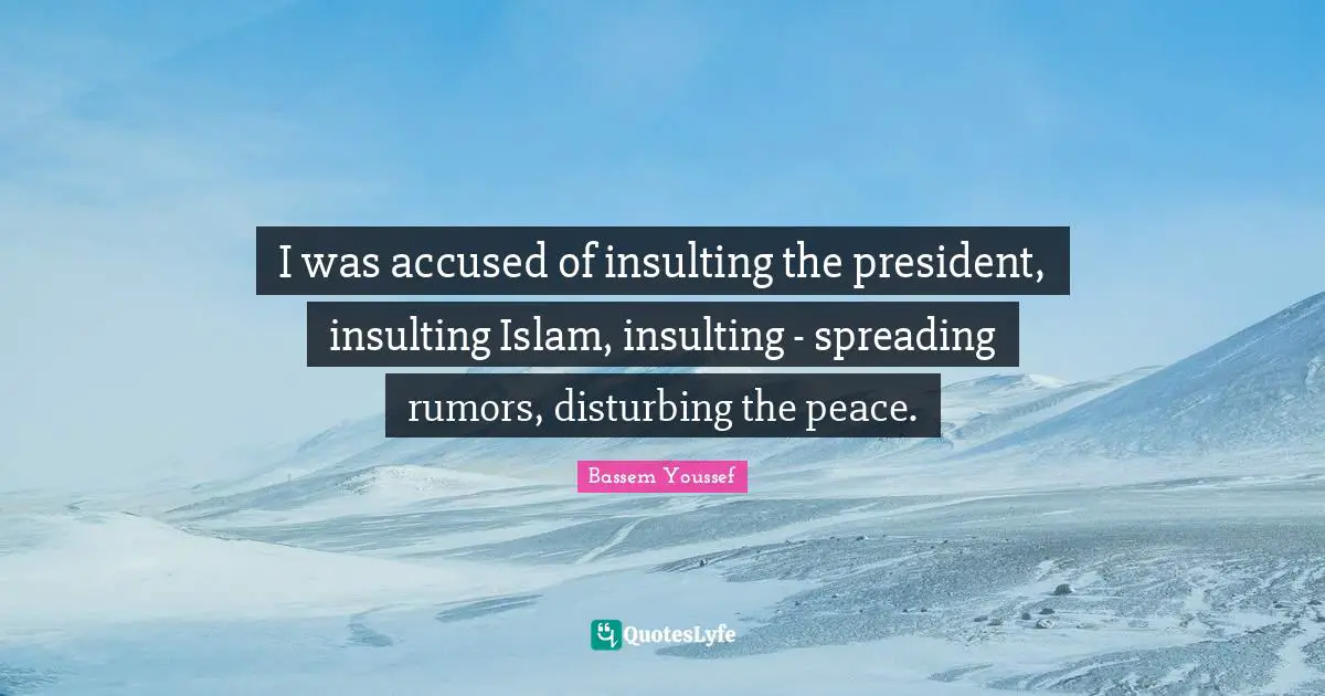 I was accused of insulting the president, insulting Islam, insulting - spreading rumors, disturbing the peace.