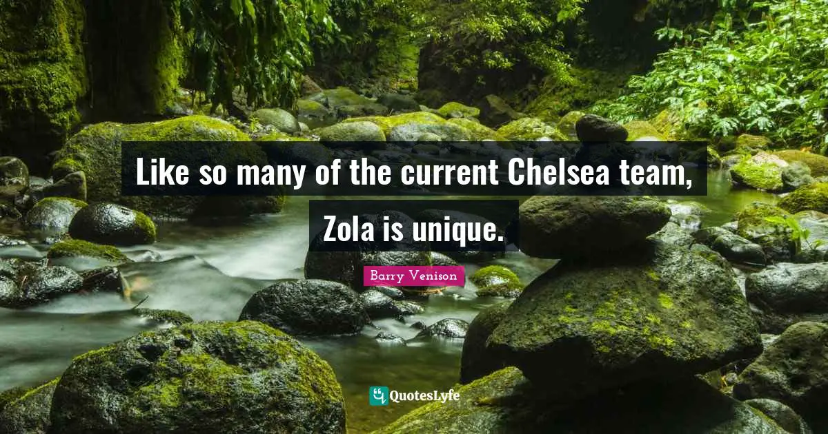 Like so many of the current Chelsea team, Zola is unique.