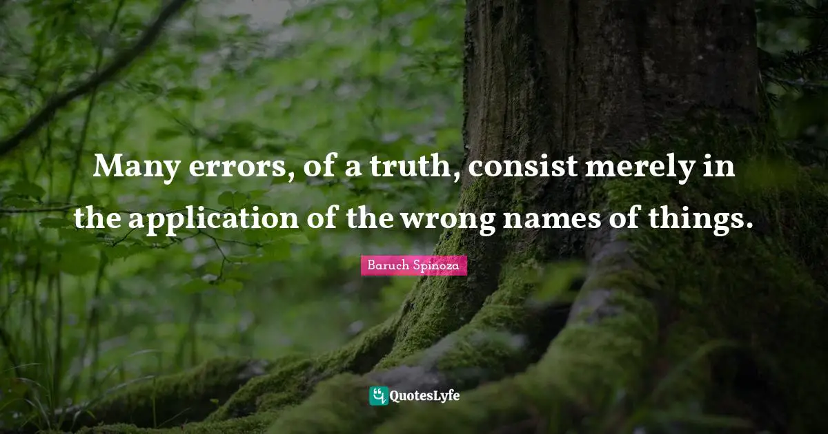 Many errors, of a truth, consist merely in the application of the wrong names of things.