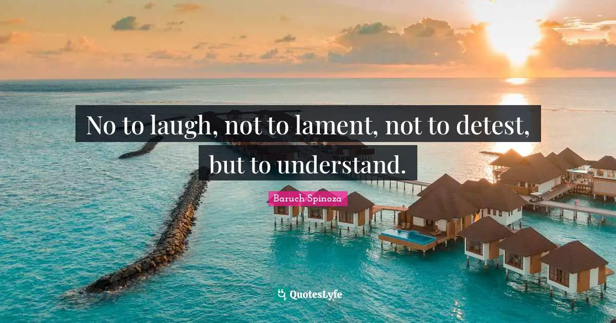 Detest Quotes: "No to laugh, not to lament, not to detest, but to understand."