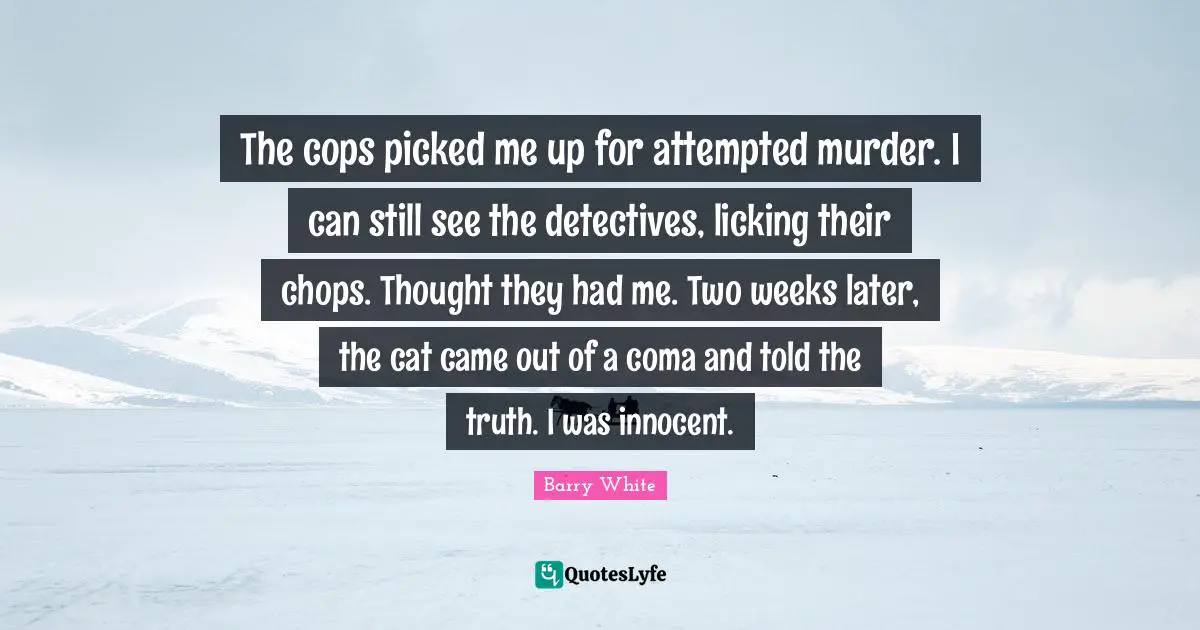 The cops picked me up for attempted murder. I can still see the detectives, licking their chops. Thought they had me. Two weeks later, the cat came out of a coma and told the truth. I was innocent.