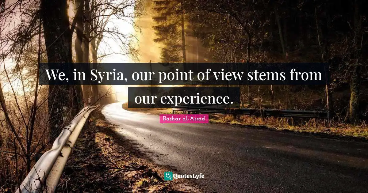 We, in Syria, our point of view stems from our experience.