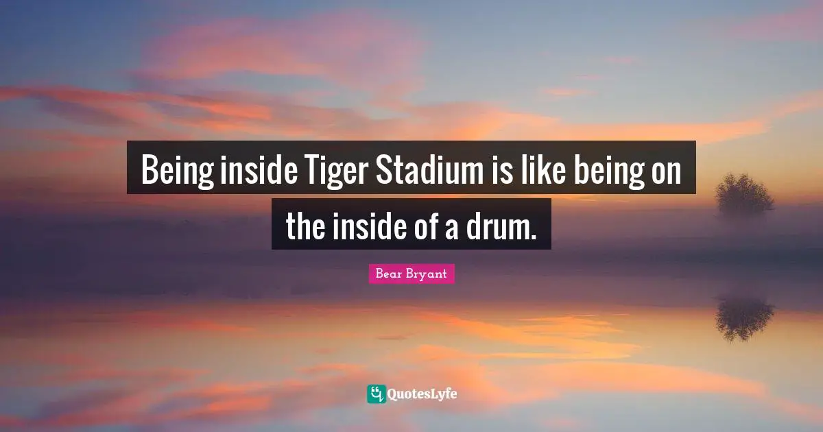 Tigers Quotes: "Being inside Tiger Stadium is like being on the inside of a drum."