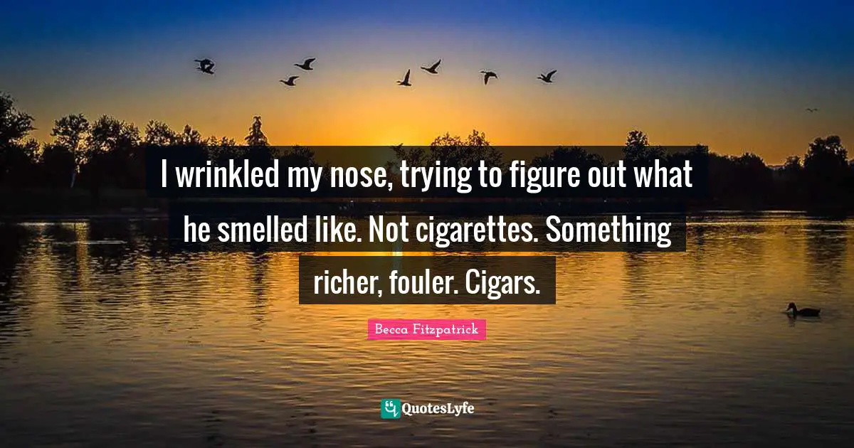 I wrinkled my nose, trying to figure out what he smelled like. Not cigarettes. Something richer, fouler. Cigars.
