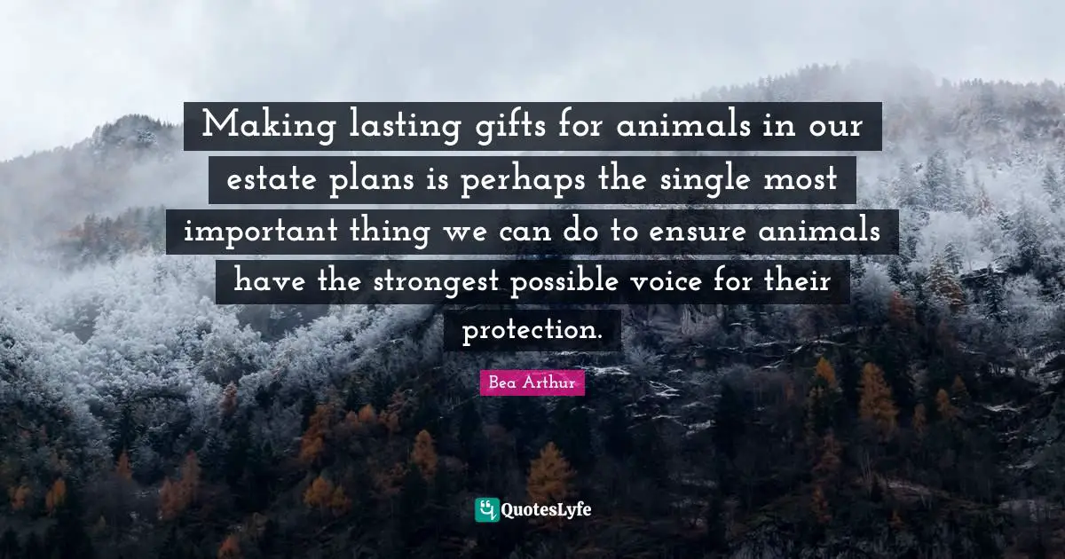 Making lasting gifts for animals in our estate plans is perhaps the single most important thing we can do to ensure animals have the strongest possible voice for their protection.
