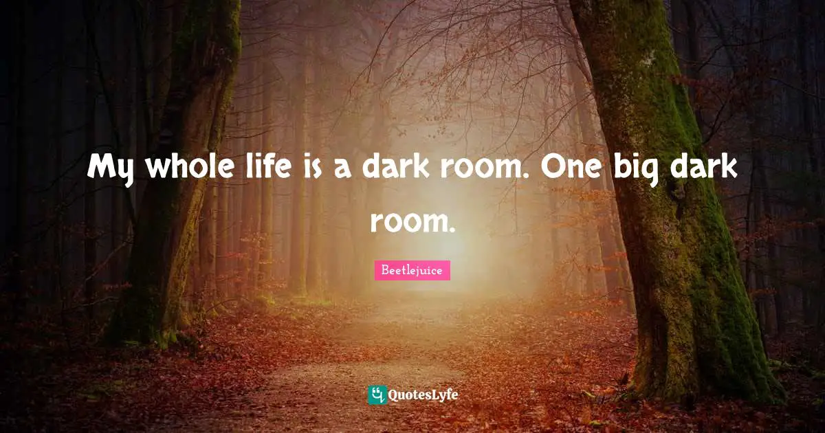 My whole life is a dark room. One big dark room.