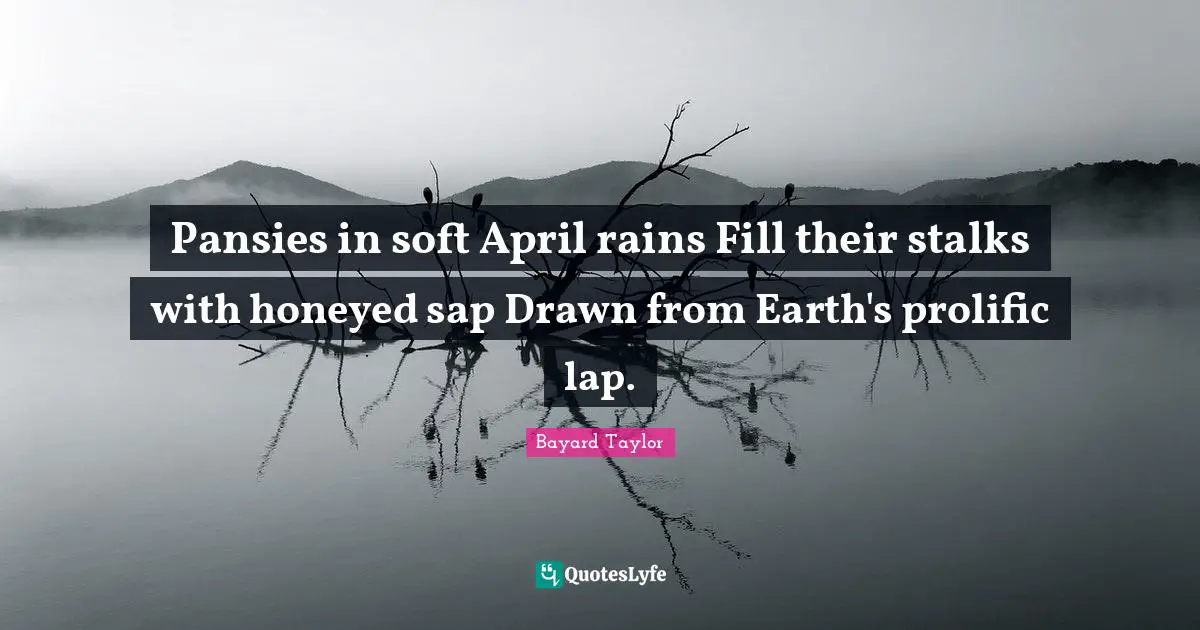 Rain Quotes: "Pansies in soft April rains Fill their stalks with honeyed sap Drawn from Earth's prolific lap."