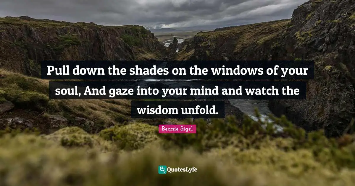 Pull down the shades on the windows of your soul, And gaze into your mind and watch the wisdom unfold.