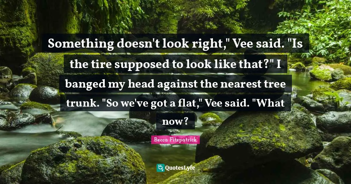 Something doesn't look right," Vee said. "Is the tire supposed to look like that?" I banged my head against the nearest tree trunk. "So we've got a flat," Vee said. "What now?
