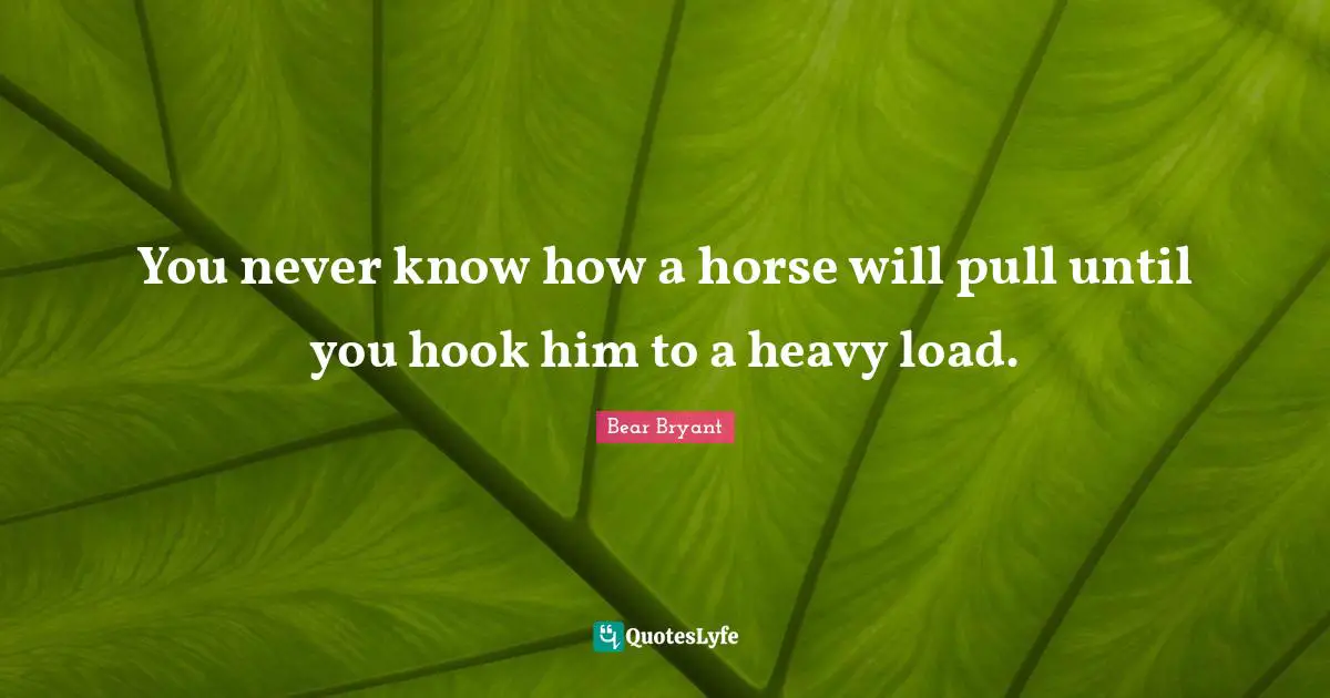 You never know how a horse will pull until you hook him to a heavy load.