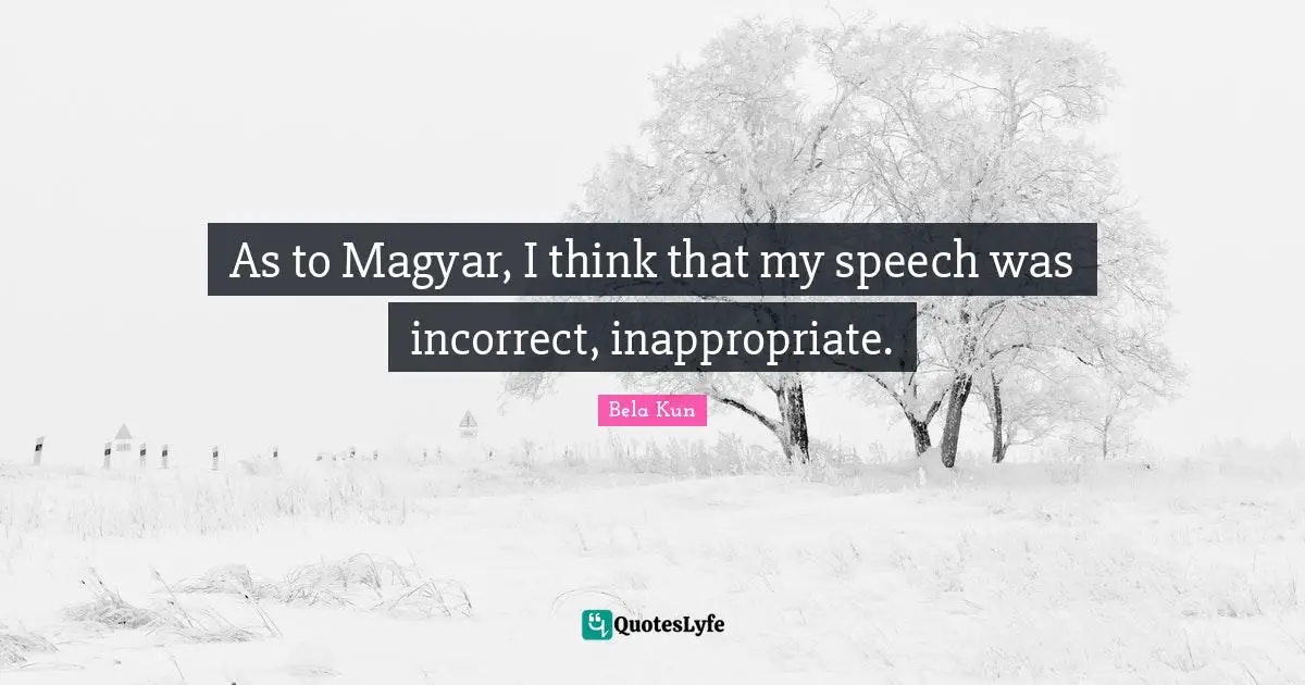 As to Magyar, I think that my speech was incorrect, inappropriate.