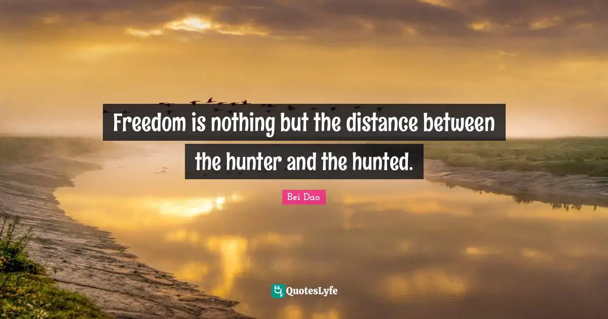 Freedom is nothing but the distance between the hunter and the hunted.