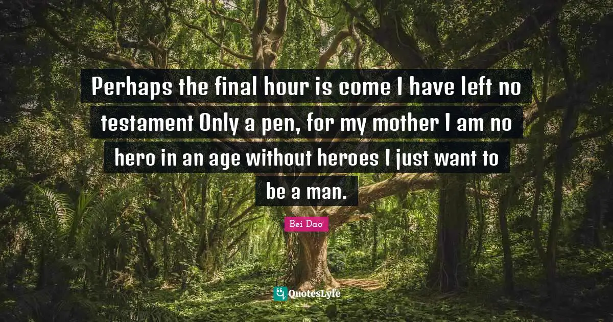 Perhaps the final hour is come I have left no testament Only a pen, for my mother I am no hero in an age without heroes I just want to be a man.