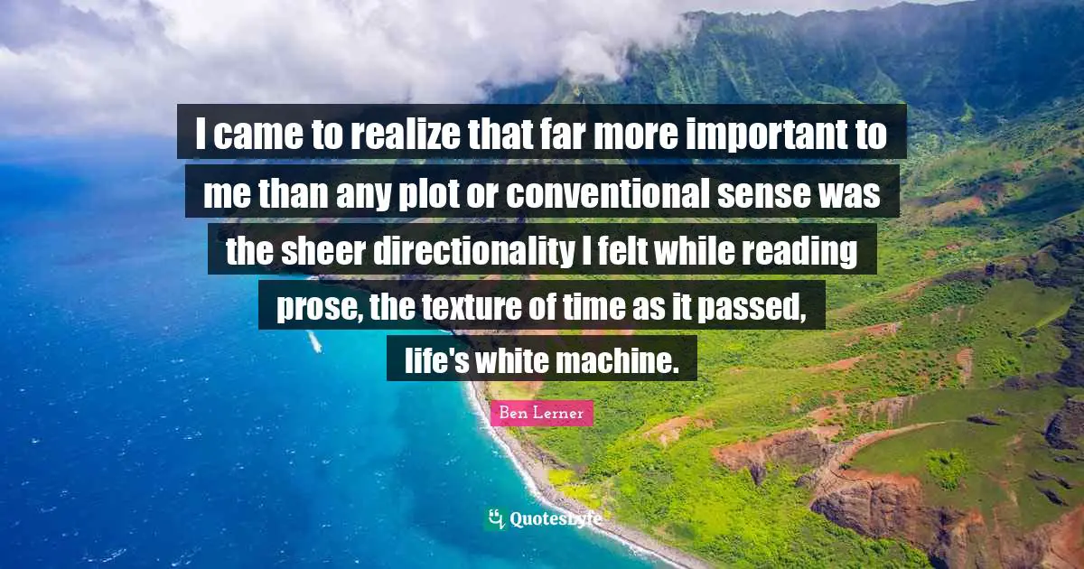 I came to realize that far more important to me than any plot or conventional sense was the sheer directionality I felt while reading prose, the texture of time as it passed, life's white machine.