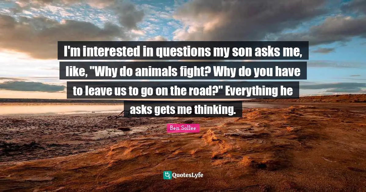 I'm interested in questions my son asks me, like, "Why do animals fight? Why do you have to leave us to go on the road?" Everything he asks gets me thinking.