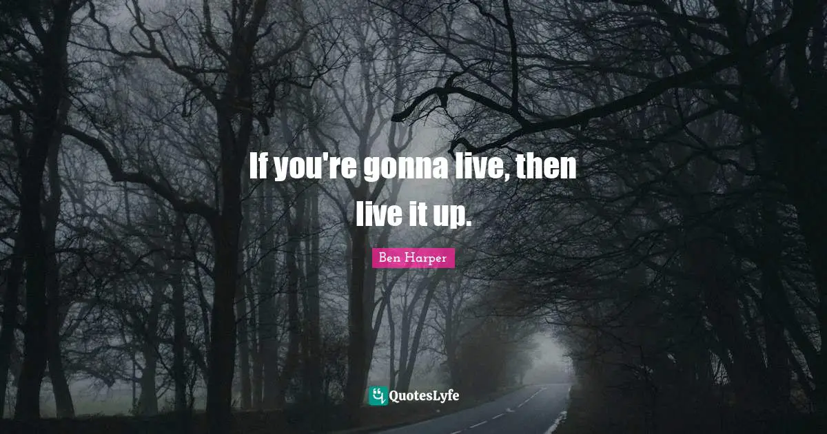 If you're gonna live, then live it up.