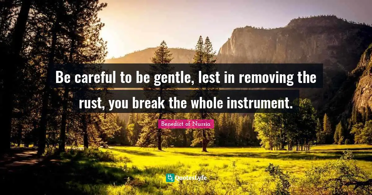 Gentle Quotes: "Be careful to be gentle, lest in removing the rust, you break the whole instrument."