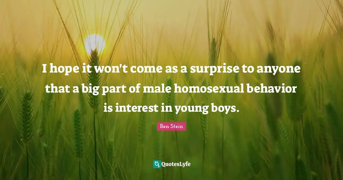 I hope it won't come as a surprise to anyone that a big part of male homosexual behavior is interest in young boys.
