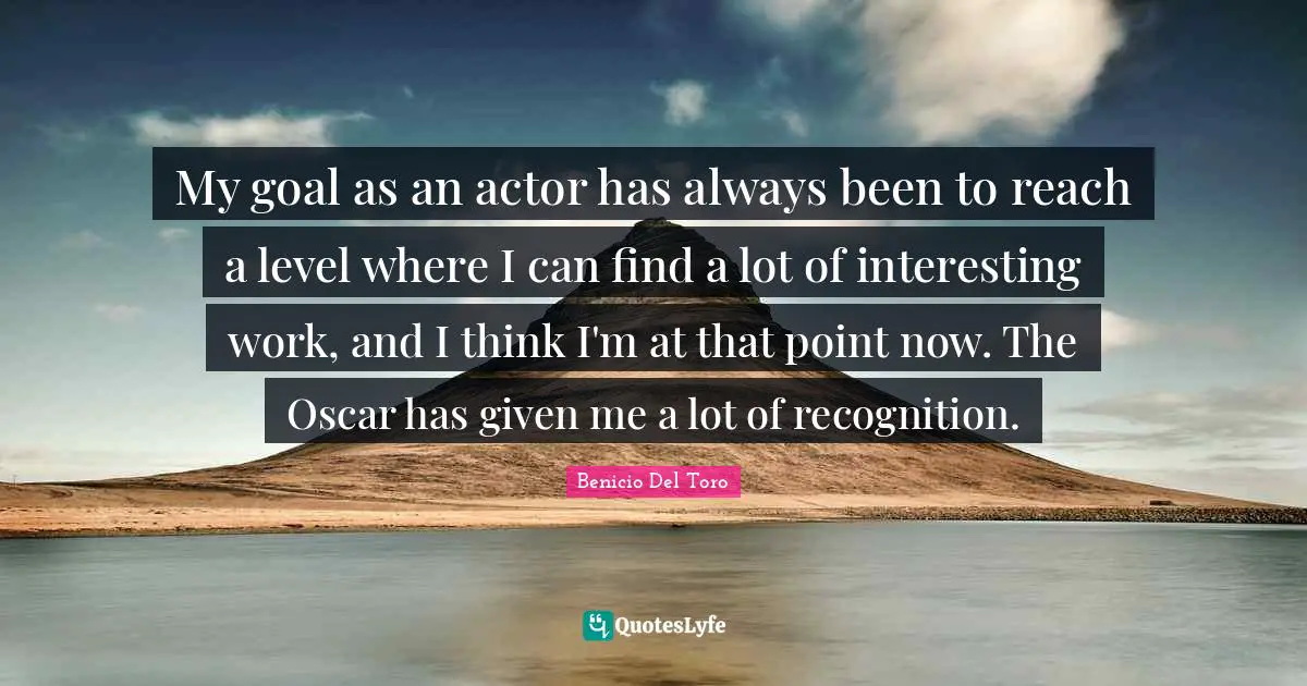 My goal as an actor has always been to reach a level where I can find a lot of interesting work, and I think I'm at that point now. The Oscar has given me a lot of recognition.