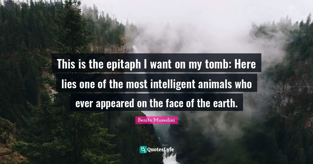 Benito Mussolini Quotes: "This is the epitaph I want on my tomb: Here lies one of the most intelligent animals who ever appeared on the face of the earth."